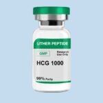HCG 1000iu GMP (10 Vials / Kit)